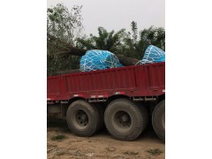 无纺布包装片 常年批发定做各种型号的无纺布育苗袋、无纺布捆扎绳 爱君无纺布图2