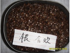 想买草花种子吗?国内花卉种子专业企业，乔木种子图片_金鑫园林图1