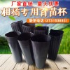 厂家直销柑橘育苗杯营养钵方口圆口