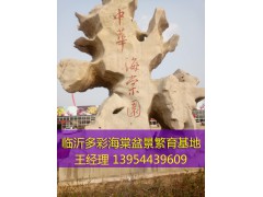 海棠盆景图1