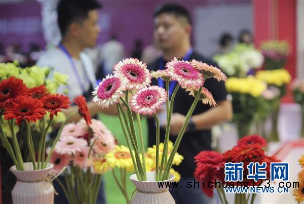 #（服务）（3）第19届中国昆明国际花卉展开幕