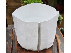 美植袋 育苗带 天津市宝坻区盛达通塑料制品厂 美植袋销售定制图2