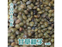 甘草籽供应 _赤峰甘草籽价格，赤峰苗木种子，赤峰牧草种子15848973816图1