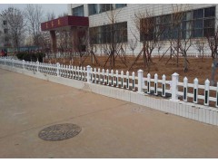 护栏草坪护栏塑钢护栏pvc护栏图1