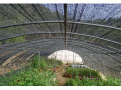 塑料大棚遮阳网，防虫网，园林资材网，园林遮阳网生产厂家，遮阳网图1
