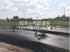 农用防草布图1