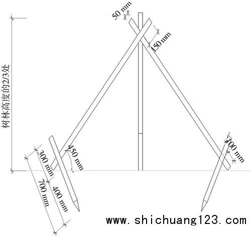 3.webp