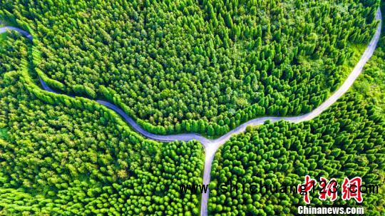 贵州黔南：“生态美”助力“旅游兴” 绘就绿色发展新画卷_最新林业信息