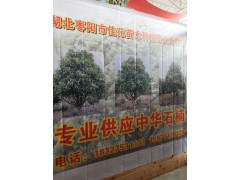 枣阳市佳苑苗木合作社专业供应中华石楠，三角枫图1