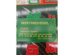 桃树，梨树，柿树，杏树等各种果树苗图1