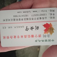 专业供应国槐，速生国槐，老国槐，淑女国槐