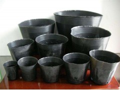 营养钵 营养杯 育苗杯 育苗盘 花钵 黑色塑料花盆 花钵图1