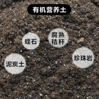 有机育苗营养土