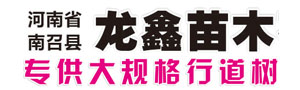 南召县龙鑫苗木花卉种植有限公司