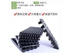 育苗盆穴盘 育苗盘 32穴 50穴 72穴 穴盘 乾坤塑料图1
