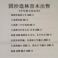 垂暴109柳树苗