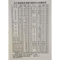 光辉海棠