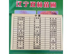 珍珠梅 大量供应优质花卉珍珠梅苗  热销优质珍珠梅 珍珠梅图2