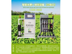 三吸口智能施肥机（标配）蔬菜大棚果园智能三吸口水肥一体机图1