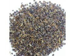 供应金鸡菊种子 百日草种子 金鸡菊种子出售 黑龙江花卉种子图3