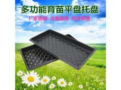 pvc育苗平盘图1