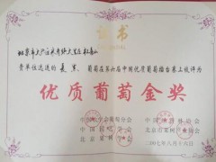 荣誉证书