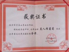 荣誉证书