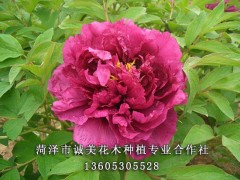 晚霞余晖