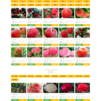 安徽亚彩园艺有限公司专业供应桃树、梨树、苹果树等各类果树苗木