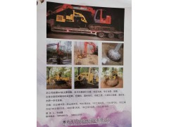 潍坊市花伟园林绿化有限公司供应老师白蜡/速生白蜡系列工程苗图1
