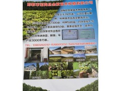 馆陶金楸苗木拥有楸树2300亩，梓树500亩，1-5公分苗木图1