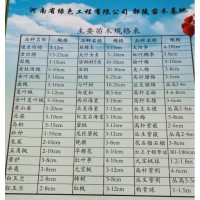 河南省绿色工程有限公司鄢陵苗木基地供速生白蜡/金叶白蜡/白蜡