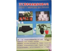 百汇营养钵美植袋供应园林花卉营养钵，量大优惠图1