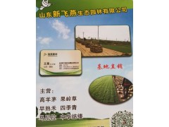 山东新飞燕经营高羊茅、果岭草、,早熟禾、四季青系列草坪图1