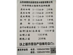 惠民县童信苗木销售白蜡小苗（速生白蜡）1-2年生500万株图1