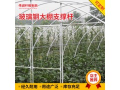 玻璃钢大棚支撑杆图1