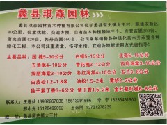 蠡县琪森园林大量供应国槐 5-30公分园林工程精品国槐树图1