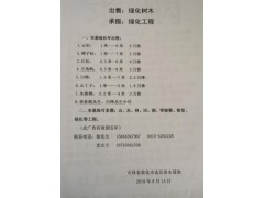 吉林省敦化市富民苗木常年出售1-6米云杉6万株图1