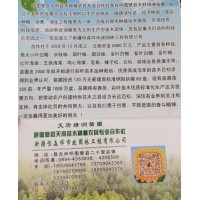 新疆天府苗木供应大小叶白蜡树 各种规格白蜡工程苗