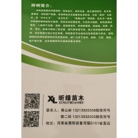 濮阳县昕绿苗木大量供应各种故给梓树苗，梓树精品树 梓树