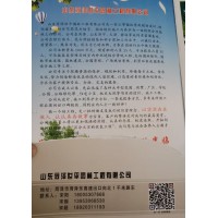 山东菏泽世平园林供应牡丹、观赏牡丹、油用牡丹系类