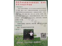 曲阳全良苗圃场主营从生黄栌，沙地柏，杯装沙地柏等苗木图1