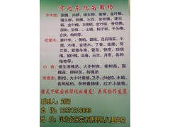 河北博野东旭苗圃场供应国槐、速生国槐、老国槐、国槐小苗图1