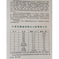 江苏永强园供应1-10公分榉树500万棵，园林工程榉树