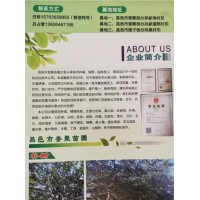 昌邑市奎聚苗圃供应1-20公分朴树，朴树精品苗，山东朴树基地