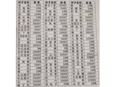 辽宁诚信苗木种子供应林木种子、花卉种子、药材种子图1
