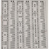 辽宁诚信苗木种子供应林木种子、花卉种子、药材种子