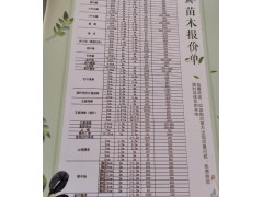 新疆昌林工程供应8公分冠幅4-5米大叶榆600棵，大叶榆苗图1