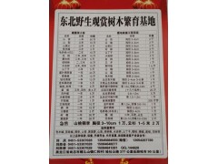 供应1-3年山杏苗50万株、3年山梨苗10株，东北野生观赏树图1