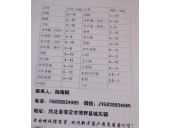 河北彩慧园林大量供应2-15公分国槐、速生国槐、国槐树图1